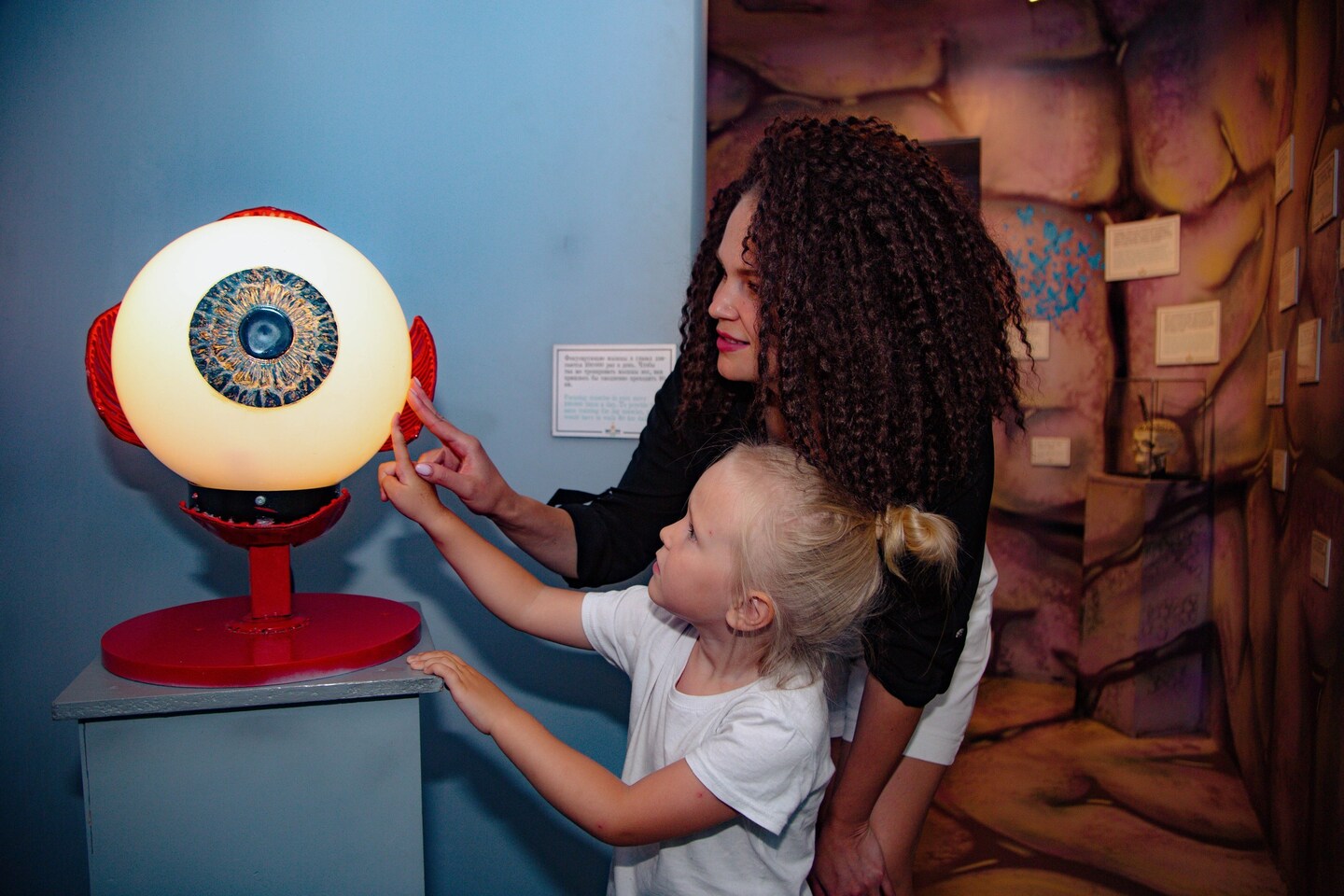 внутри человека фото